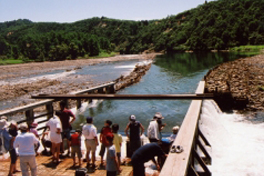 川口やな場