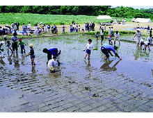 「ふるさと体験農業センター開園」の画像