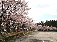 「巴ヶ丘」の画像2