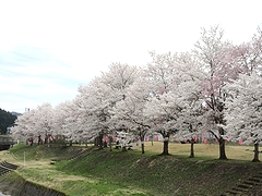 「せせらぎ公園」の画像1