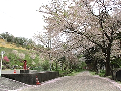 「妙法寺」の画像1