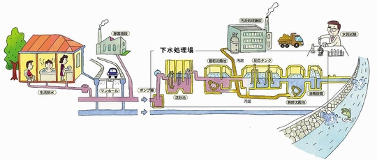 「下水の流れ（分流式下水道の場合）」の画像