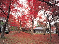 「もみじ園」の画像2