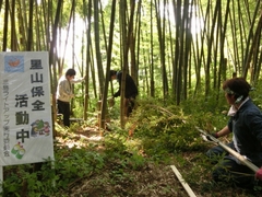 「越後みしま 竹あかり街道」の画像1