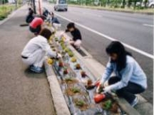 「関原地区花いっぱい運動協議会活動」の画像2