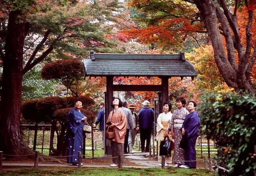 「秋のもみじ園」の画像