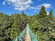 「おぐに森林公園」の画像