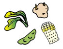 「野菜」の画像