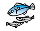 「魚」の画像