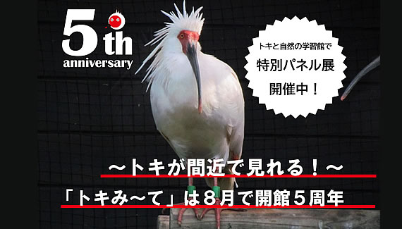 「特別パネル展」の画像