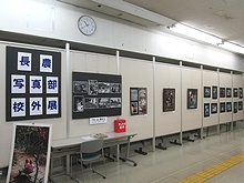 「長農写真部 校外展2023－選抜作品展－」の画像