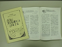 「女性NGOフォーラム北京’95参加報告集」の画像