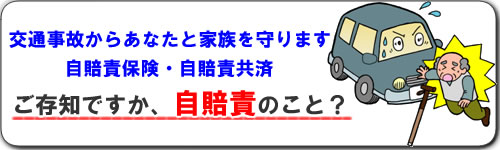 「ご存知ですか、自賠責のこと？」の画像