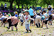 記事「「ながおか田植えまつり」で自然と“農”を満喫。」の画像