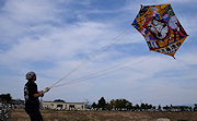 記事「3日間の熱い空中戦 今町・中之島大凧合戦」の画像