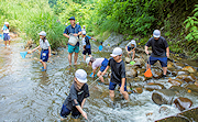 記事「川が教室!放流や生き物観察」の画像
