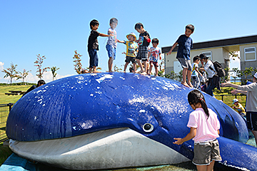 「くじらの水場は大人気」の画像