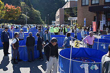 「「長岡市錦鯉品評会」」の画像