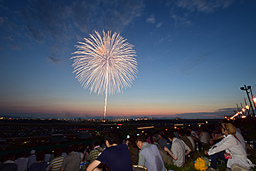 「慰霊と世界平和への祈りを込めた白菊」の画像