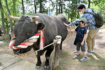 「500人の観客が訪れました」の画像3