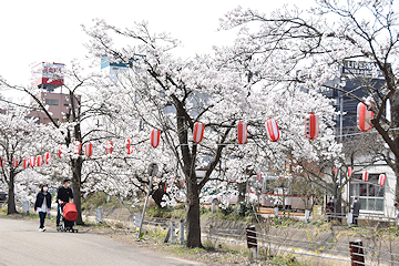 「福島江」の画像1