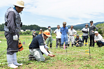 「グループごとに設置した柵」の画像2