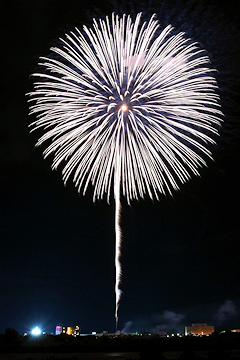 「慰霊の花火「白菊」」の画像3