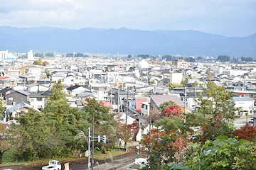 「もみじ園」の画像2