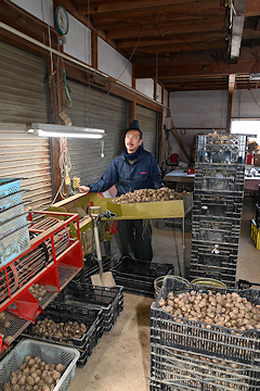 「久保農園さんの出荷作業」の画像3