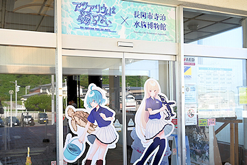 「「アクアリウムは踊らない」とのスペシャルコラボ」の画像