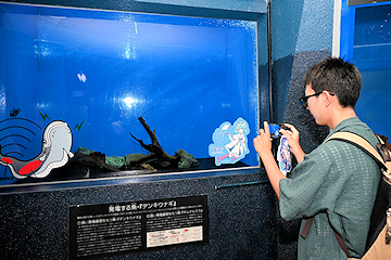 「市内から来た高校生」の画像