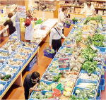 朝採れ新鮮野菜の直売