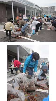 「落ち葉は宝の山！　腐葉土を作りました」の画像