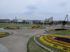 「パンジーの花摘みや除草を行いました」の画像