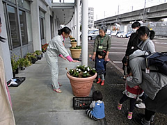 「1組1鉢ずつ植え付けを行いました」の画像