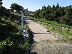 「立派な園路ができました」の画像